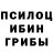 Галлюциногенные грибы Psilocybe Volshebny Pendel