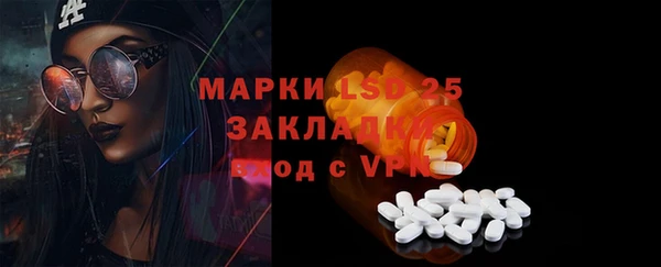 прущие грибы Алзамай