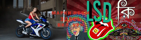 прущие грибы Алзамай