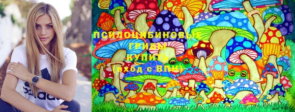 прущие грибы Алзамай