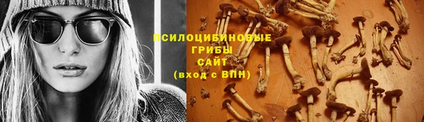 прущие грибы Алзамай