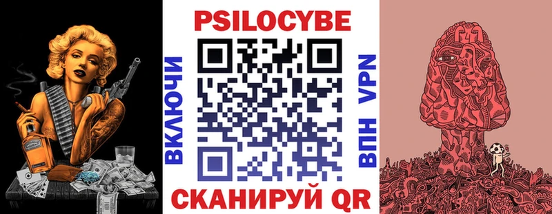 Галлюциногенные грибы Psilocybine cubensis  Сенгилей 